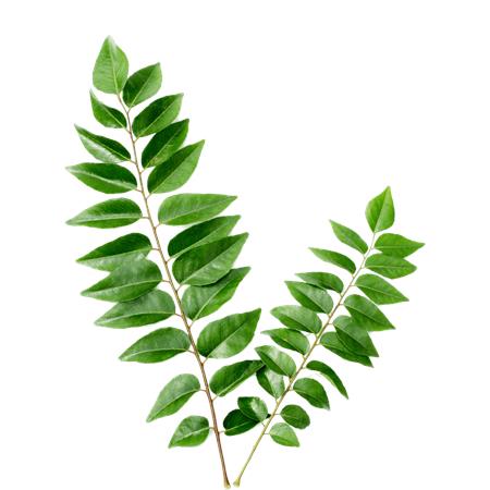Curry Leaves 10g