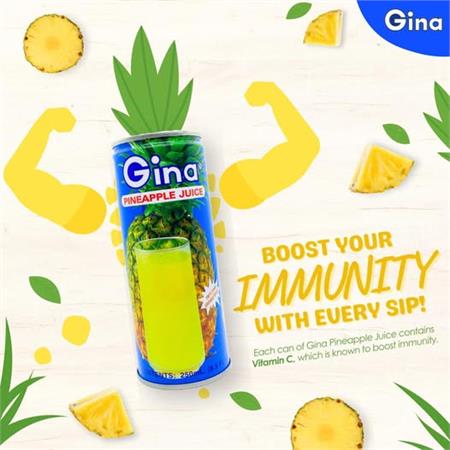 Gina Pineapple 250ml