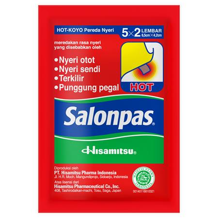 Hisamitsu Salonpas Hot 10 patches