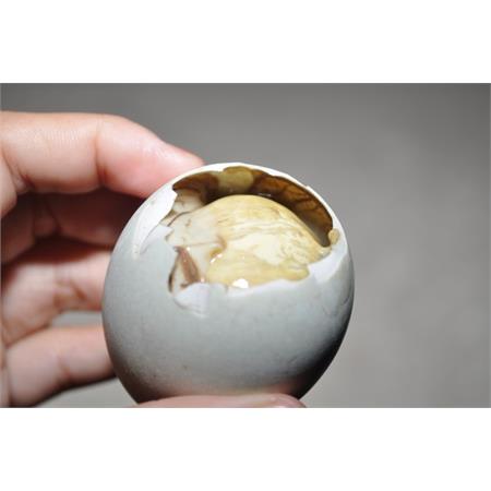 Rhoshell Uncooked Balut