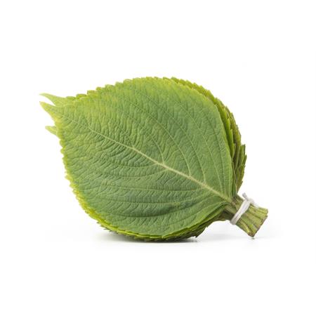 Sesame Leaves (Perilla) 30g