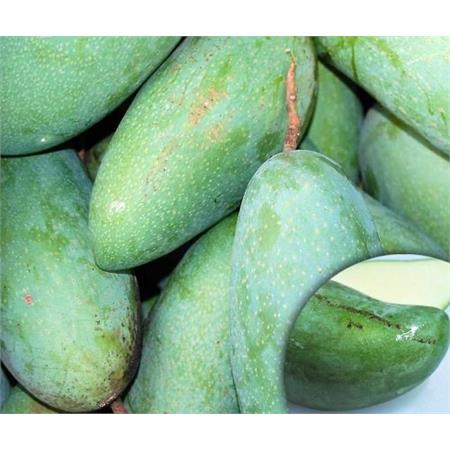 Thai Green Mango SWEET per Kg